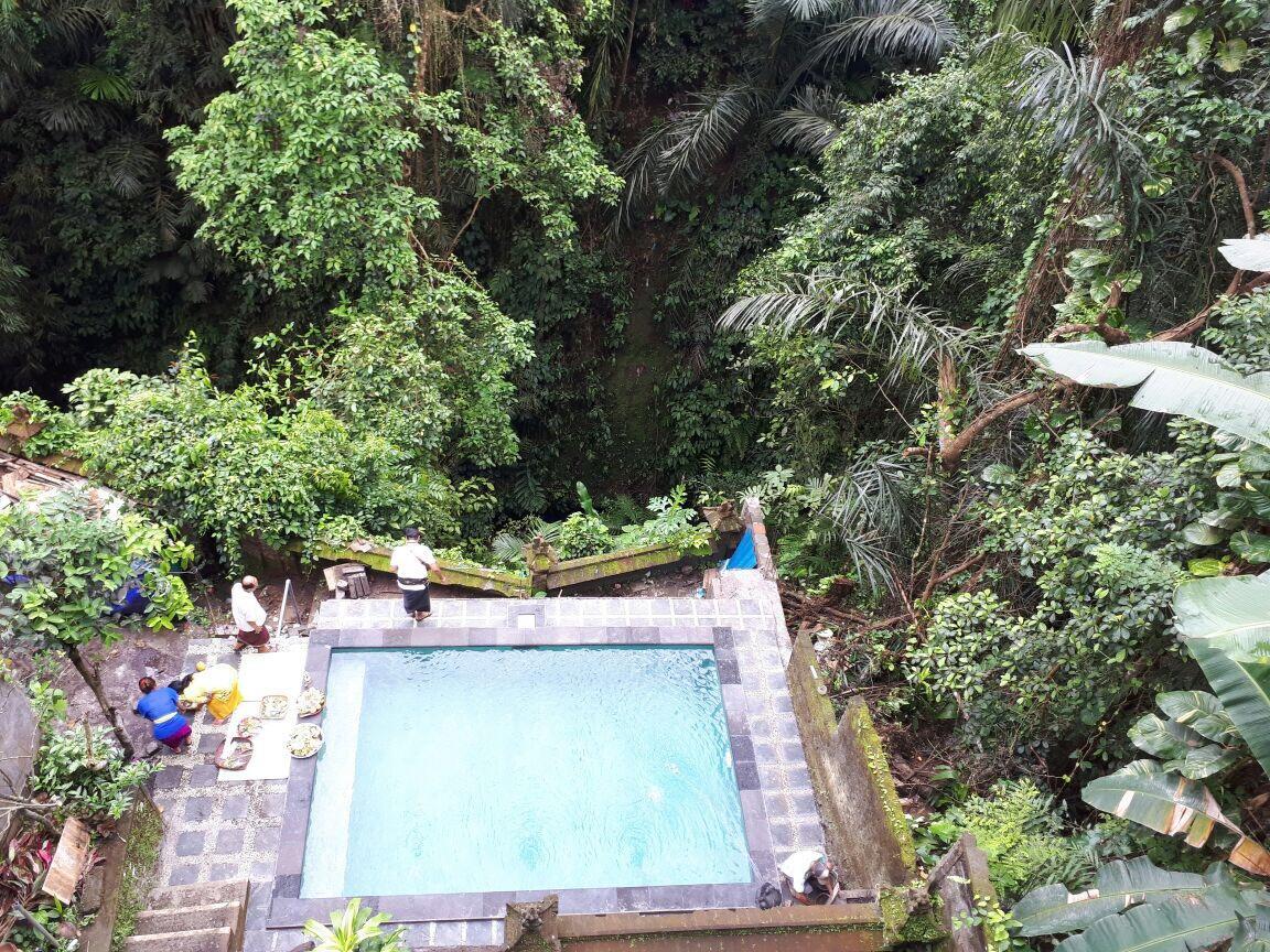 Anggrek Mas Bed & Breakfast Ubud Exterior foto
